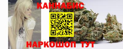 мдпв Пугачёв