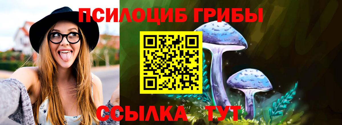 где купить наркоту  Вход с VPN  Тихорецк  Галлюциногенные грибы мицелий  Псилоцибиновые грибы мухоморы 